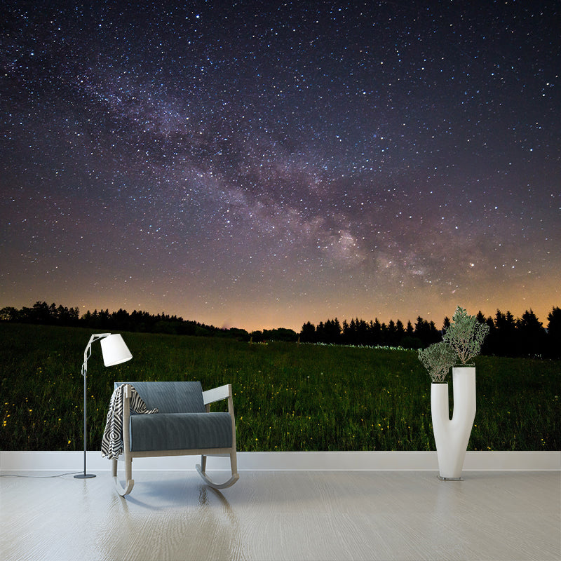 Photography Pattern Mildew Wall Mural Horizontalt Stary Sky for Living Room