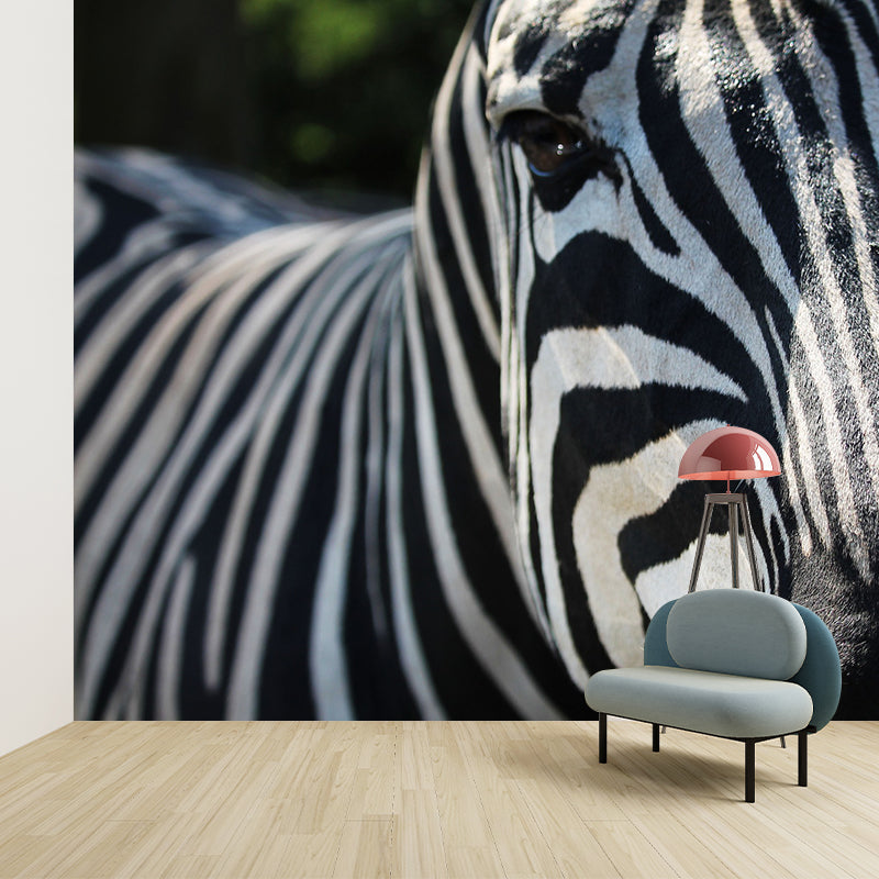 Photography Pattern Mildew Wall Mural Animal Horizontalt for Living Room
