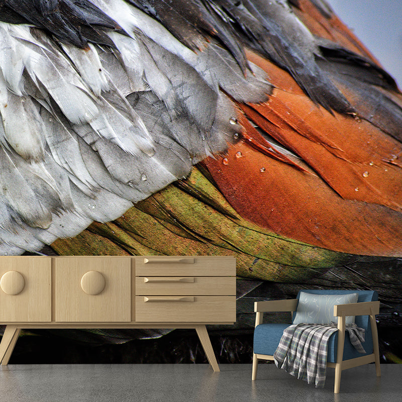 Peel and Stick Wallpaper Mildew Resistant Photography Feather Print Contemporary