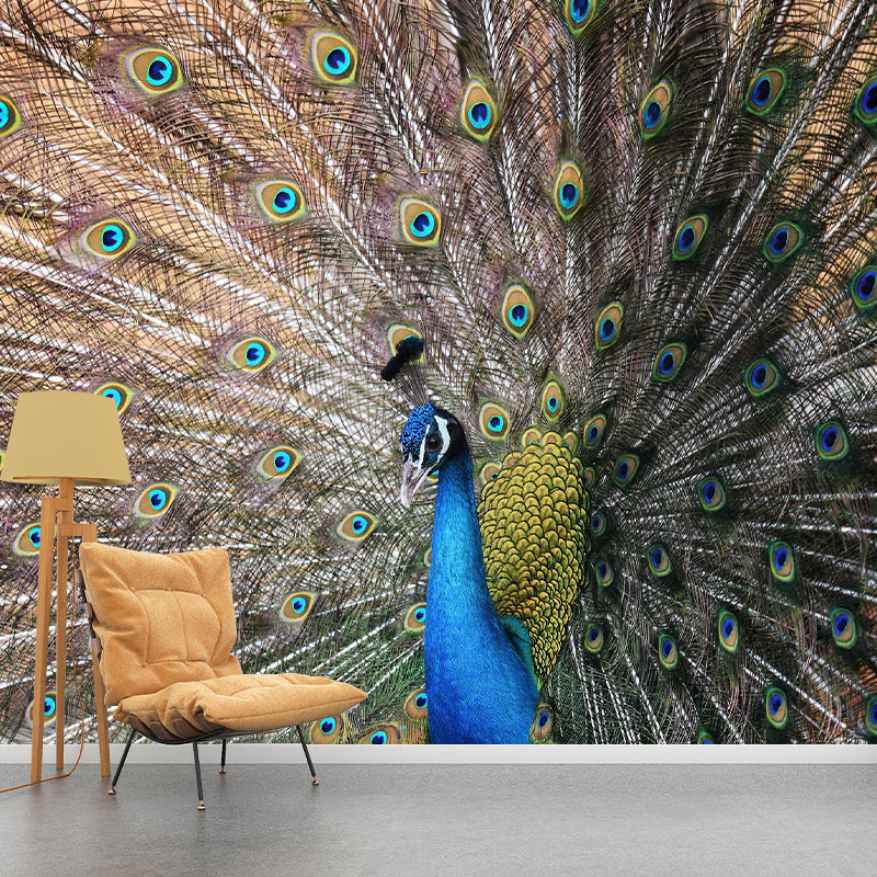 Feather Printed Peel and Stick Wallpaper Photography Bedroom Modern Moisture Resistant
