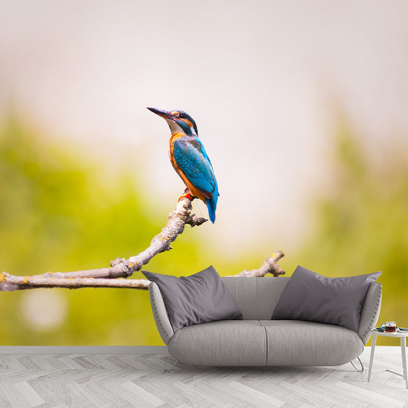 Creative Forest Bird Photography Mural Moistureproof for Living Room and Bedroom Wall Decor