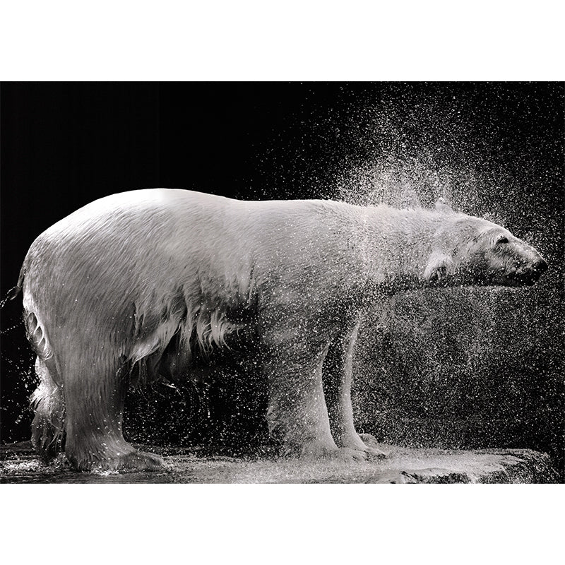 Cool Polar Bear Wall Covering for Living Room, Dark, Custom Size Available