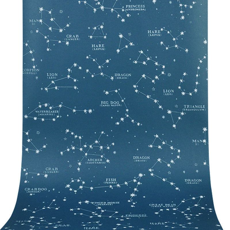 Décoration murale contemporaine horoscope pour chambre de garçon, papier peint 31'L x 20,5"W de couleur bleue