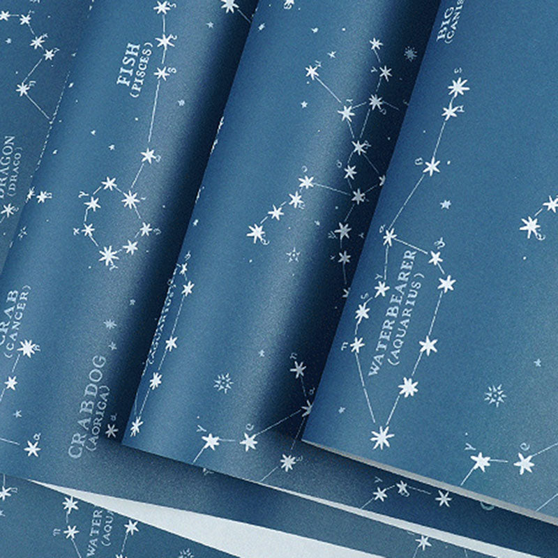 Décoration murale contemporaine horoscope pour chambre de garçon, papier peint 31'L x 20,5"W de couleur bleue