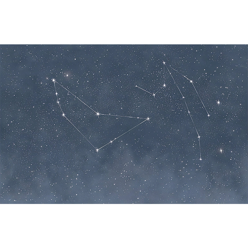 Contemporary Horoscope Mural Wallpaper in Dark Blue Living Room Wall Decor, Made to Measure