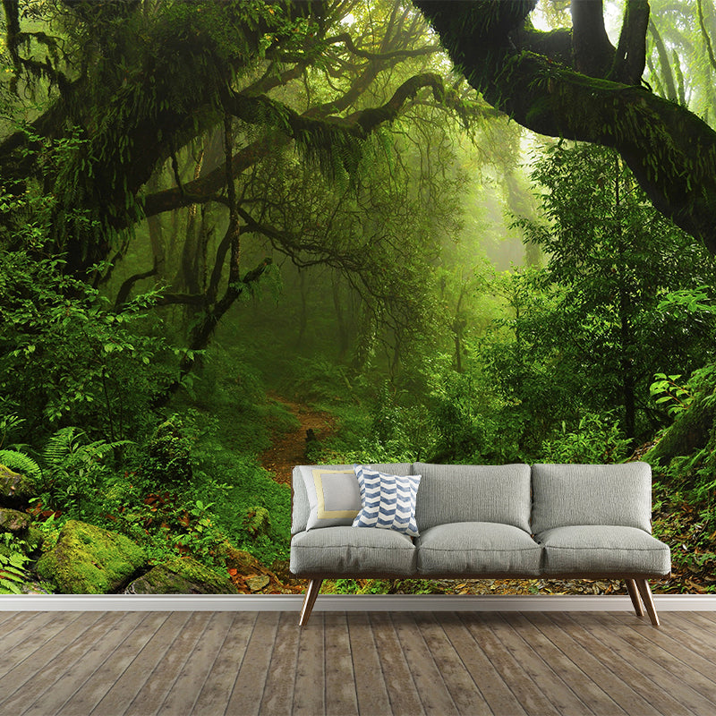 Fresh Jungle Mural Wallpaper for Office Room Contemporary Wall Decor, Personalized Size Available