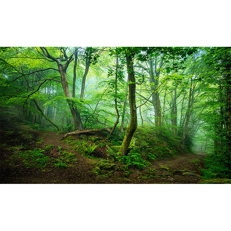 Whole Forest Wall Covering Green Non-Woven Material Mural Wallpaper for Home Decor, Custom-Printed