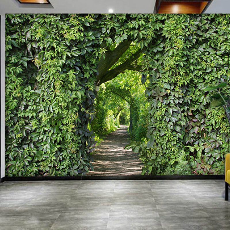 Decorative Vintage Mural Wallpaper for Accent Wall with Plant and Path Design in Green