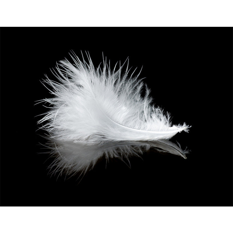 Extra Large Feather Wall Mural Guest Room Wall Covering in Black and White, Stain Resistant