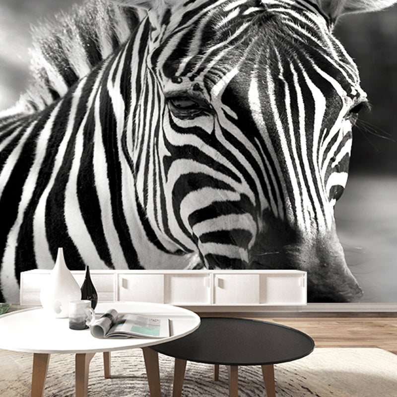 Zebra Mural Wallpaper Black and White Minimalist Wall Art for Living Room
